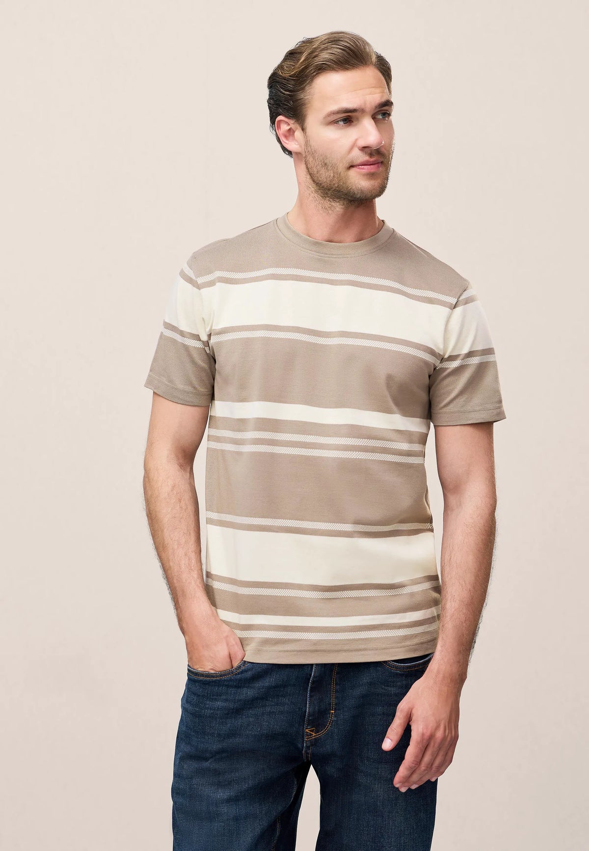 Mens Mocha Multi Stripe Short Sleeve T-shirt